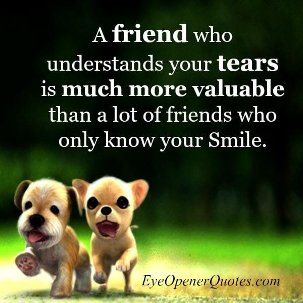 A friend who understands your tears
