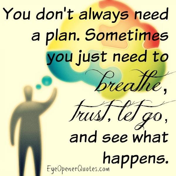 Sometimes you don't always need a plan in life
