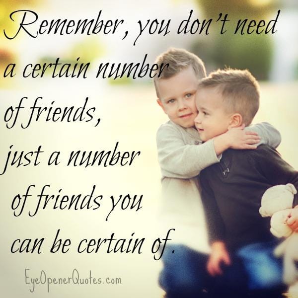 You don't need a certain number of friends in your life