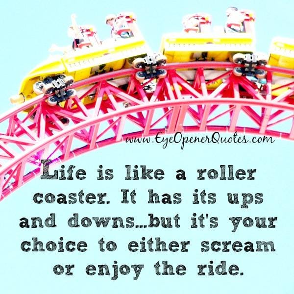 Like is like a roller coaster ride