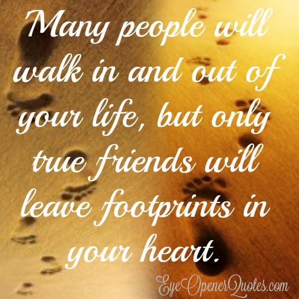 Many people will walk in & out of your life